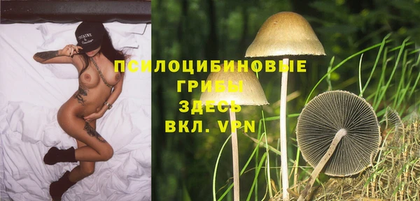 PSILOCYBIN Армянск