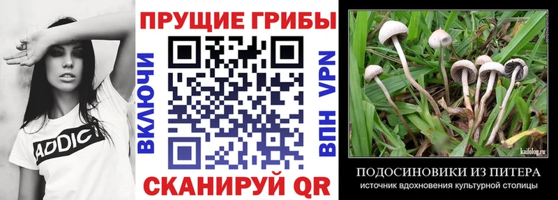 где продают наркотики  Рославль  Галлюциногенные грибы мицелий 